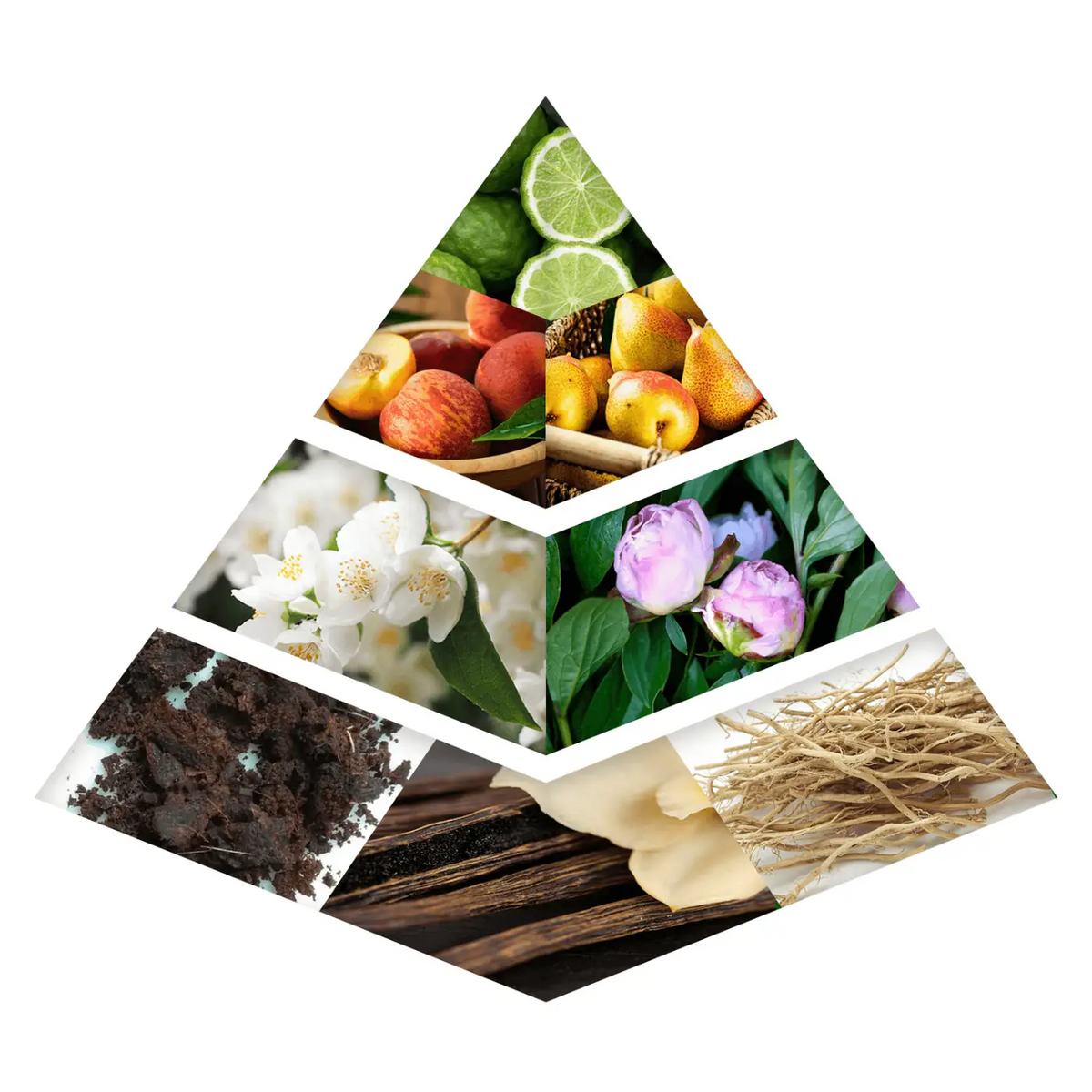 A pyramid-shaped collage showing citrus fruits flowers herbs and roots in aura crisp flower khadlaj edp 100ml packaging